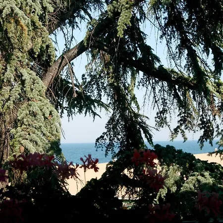 Elizabeth Dy Boutique 3* Nesebar