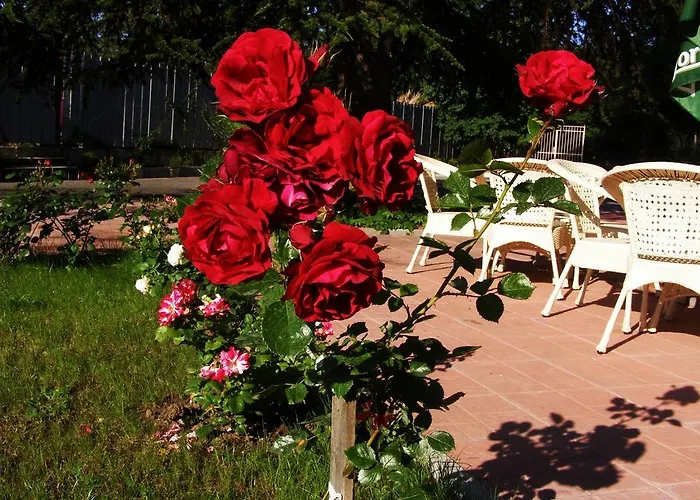 Elizabeth Dy Boutique Отель 3*