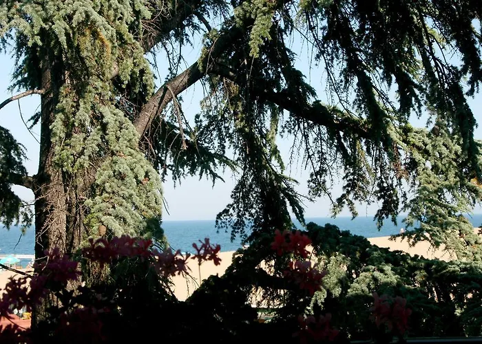 Elizabeth Dy Boutique 3* Несебр