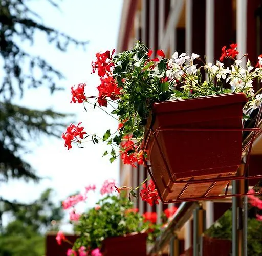 Elizabeth Dy Boutique Отель 3*